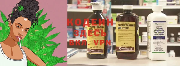 дживик Дмитров