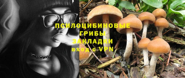 трава Дмитровск