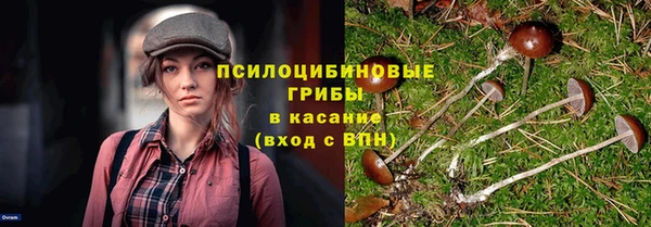 дживик Дмитров
