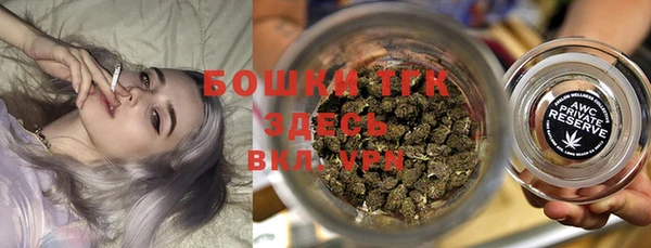 гидропоника Дмитриев
