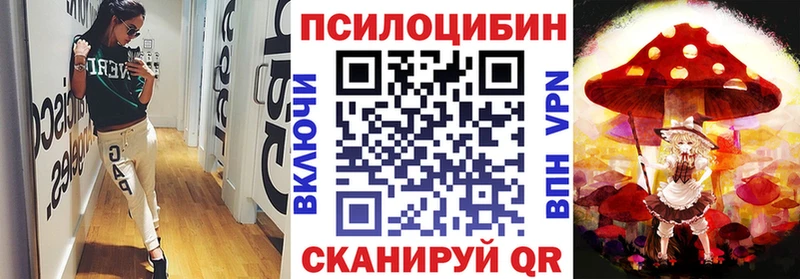 Псилоцибиновые грибы мухоморы  Купить где  Рошаль 